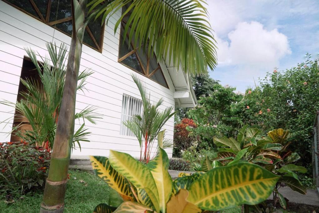 Villa Casa Moes Cahuita Exterior foto