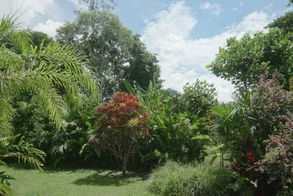 Villa Casa Moes Cahuita Exterior foto